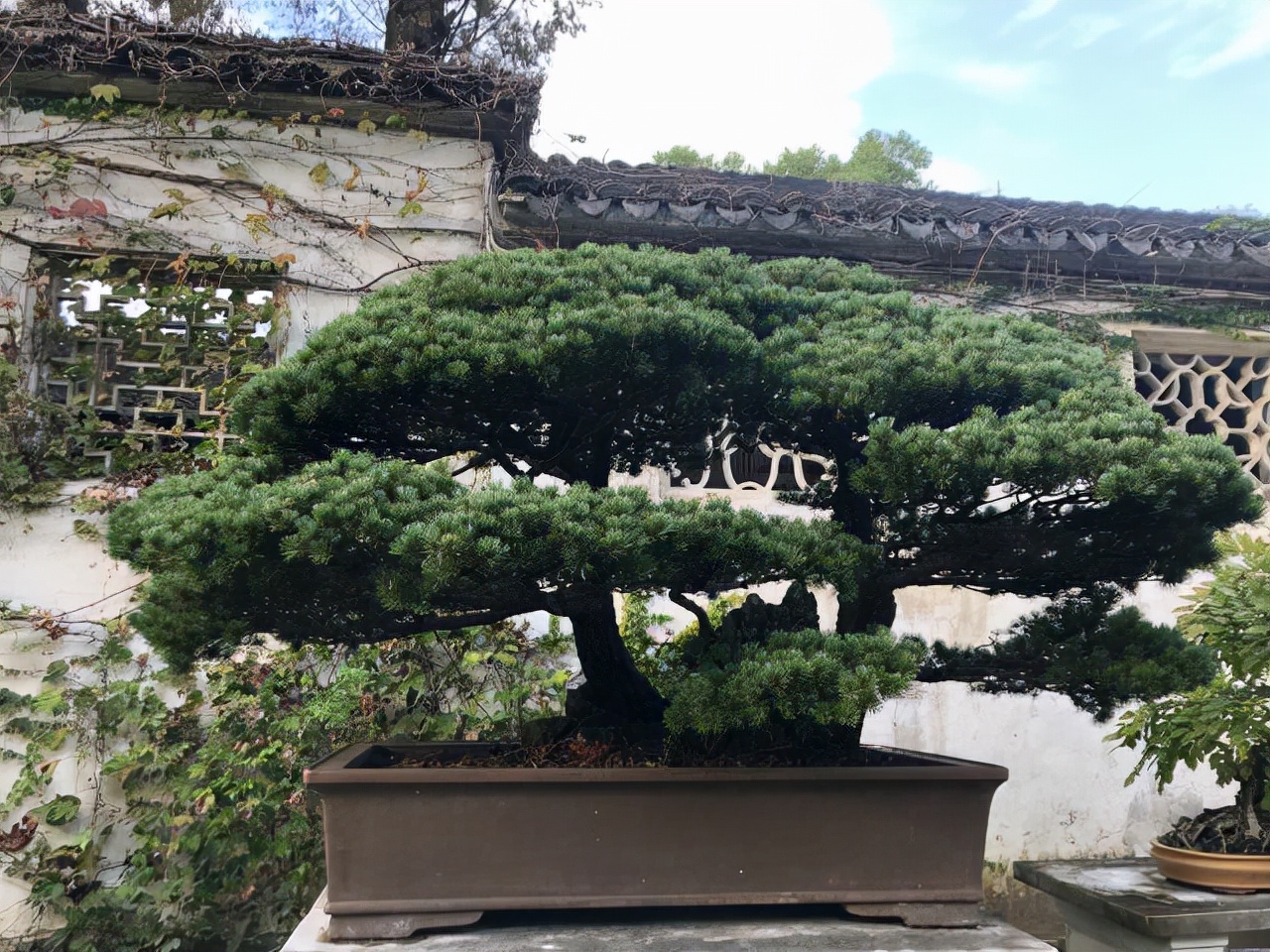 苏州十大必玩景点推荐,苏州最值得游玩的地方