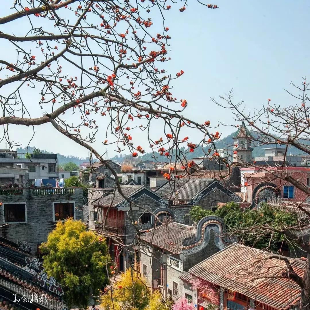 五一番禺市桥好玩的地方,番禺区春节免费景区都有哪些