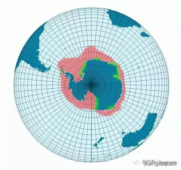 企鹅没有毛还能生活在北极,企鹅没有冰能生活吗