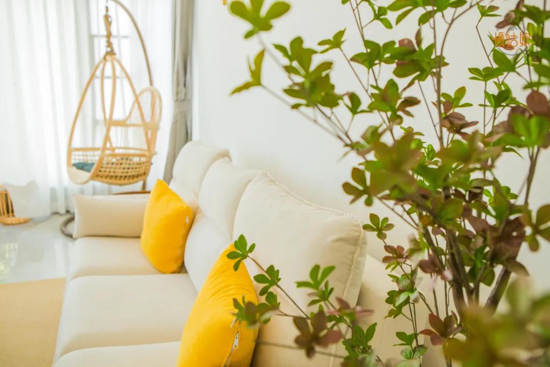 轰趴馆和民宿谁更有性价比,轰趴与民宿结合