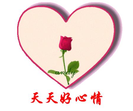 5.20到了,520朵玫瑰送给群里所有的人!越早打开越好！