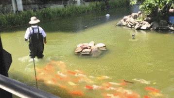 赌100袋辣条,赌十包辣条