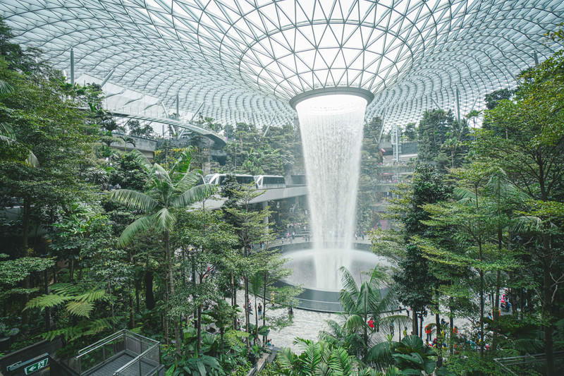 一人一猫环游,一人一猫旅行