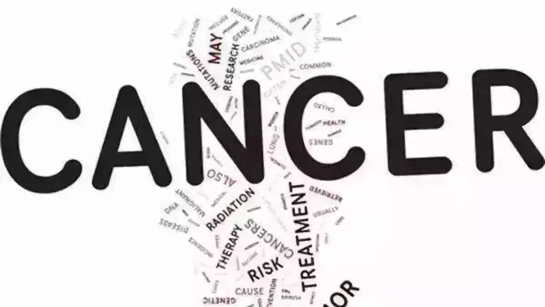 肠道菌群与癌症的最新研究,肠道菌群与癌症的关系