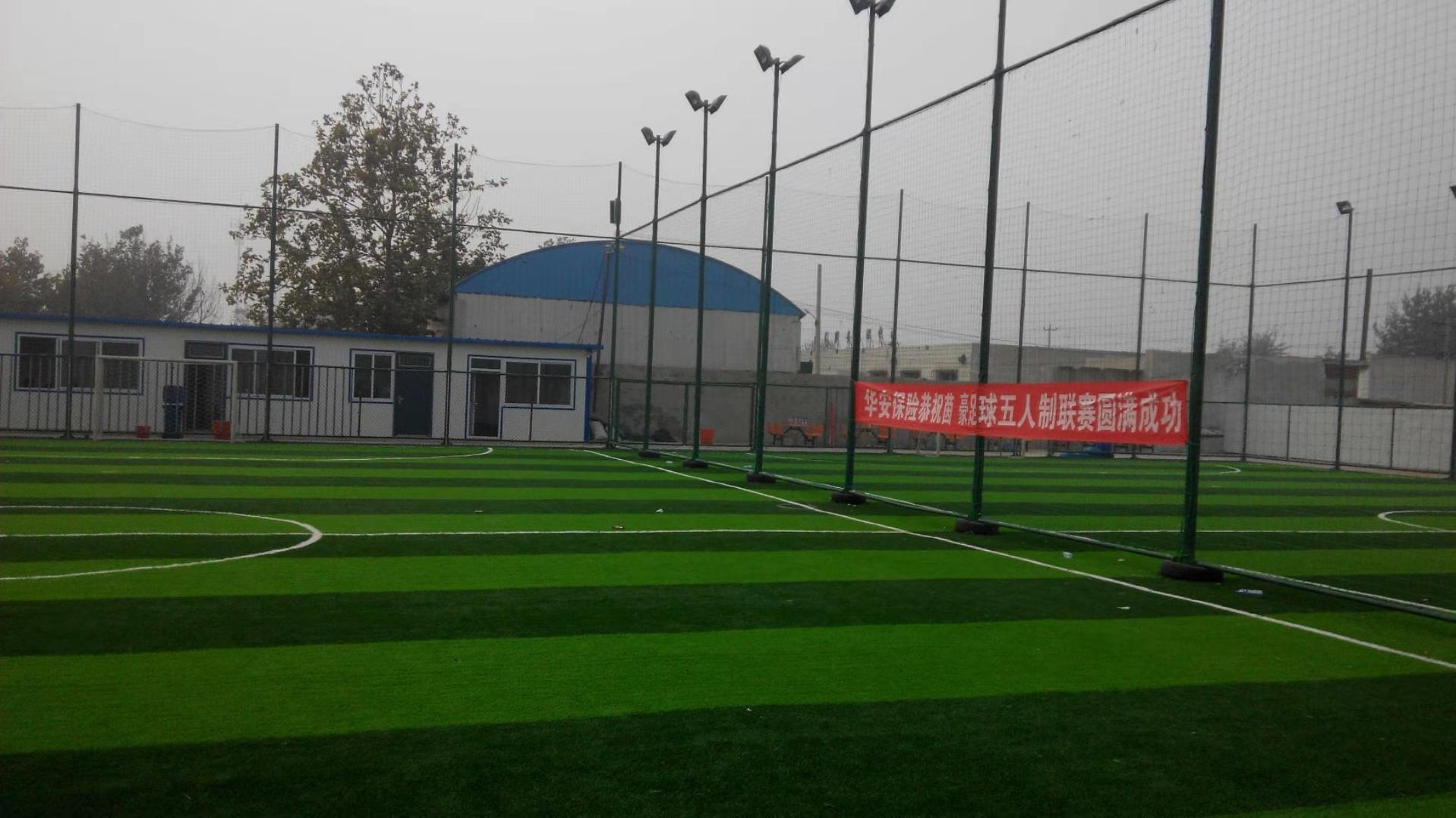 那些年一起做过的足球梦,那些年我们一起追逐过的足球梦