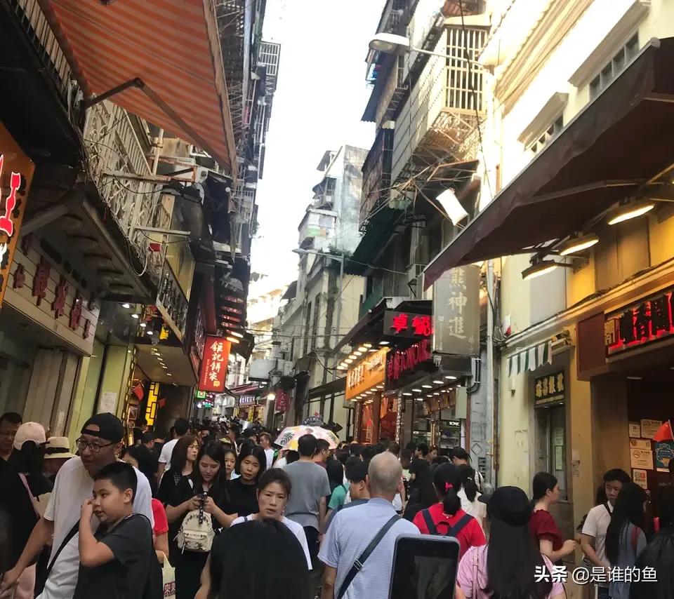 澳门自由行三天旅游攻略,澳门一日自由行旅游攻略