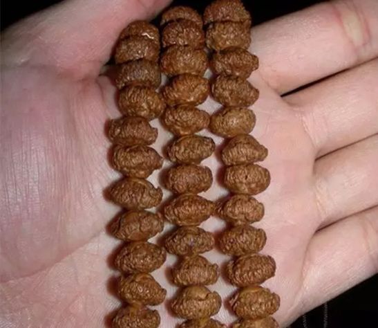 菩提手串大全图解,菩提手串的种类图解