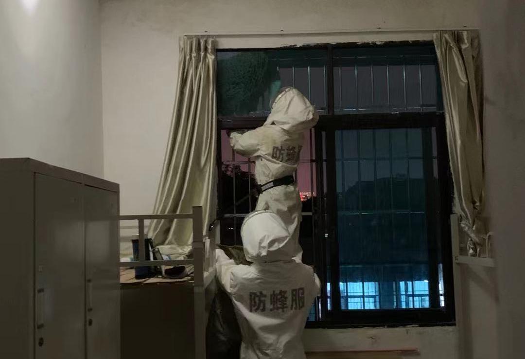 贵阳多地惊现此物，消防“连锅端”