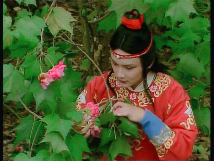 红楼梦中有脏话怎么理解,红楼梦里面的讽刺