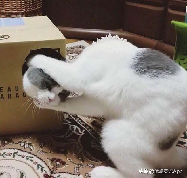 讽刺与幽默：你知道老美是怎么调侃他们的乡下人的吗？