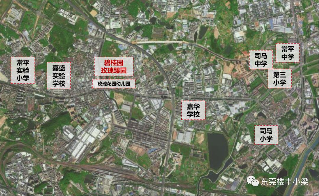 东莞市碧桂园玫瑰臻园,疫情后楼盘首开