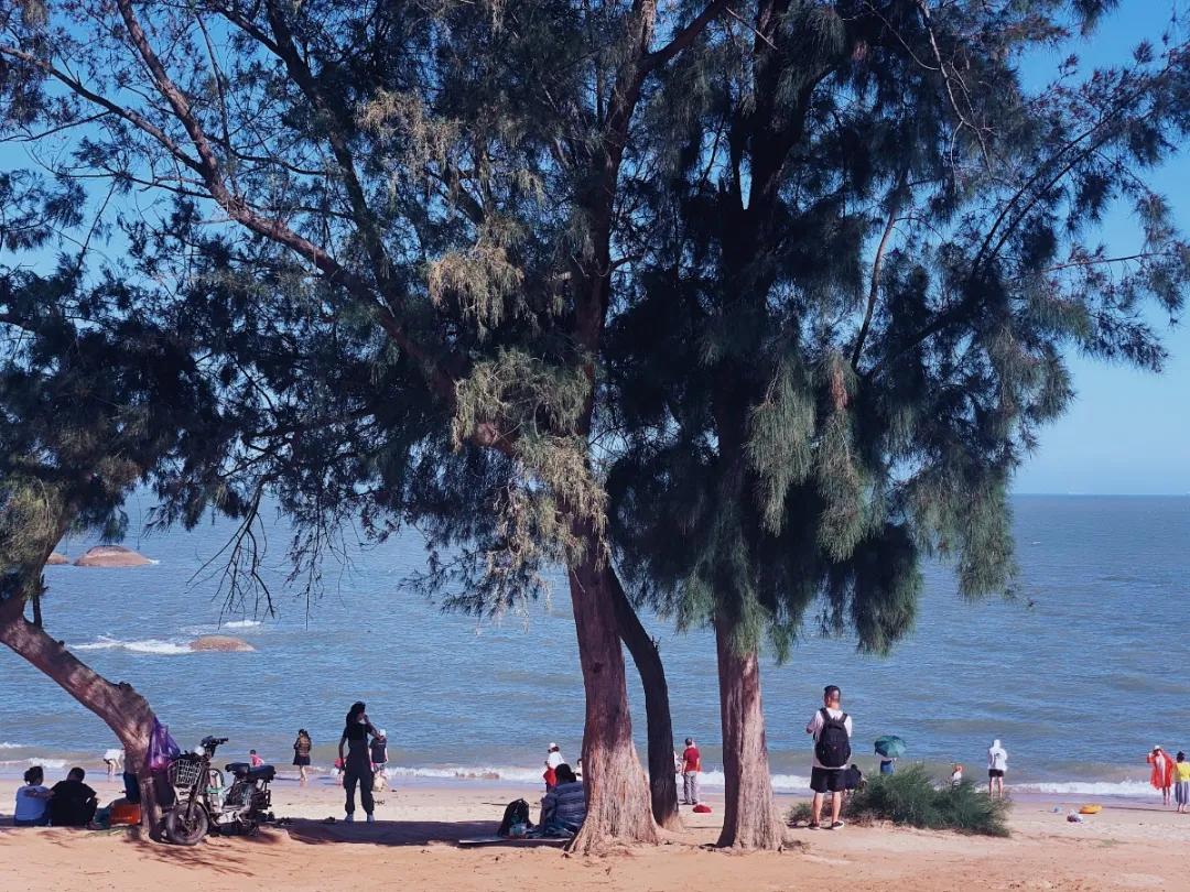 黄金海岸沙雕海洋乐园梦幻水世界,美爆了2019首届奇幻星空海洋馆