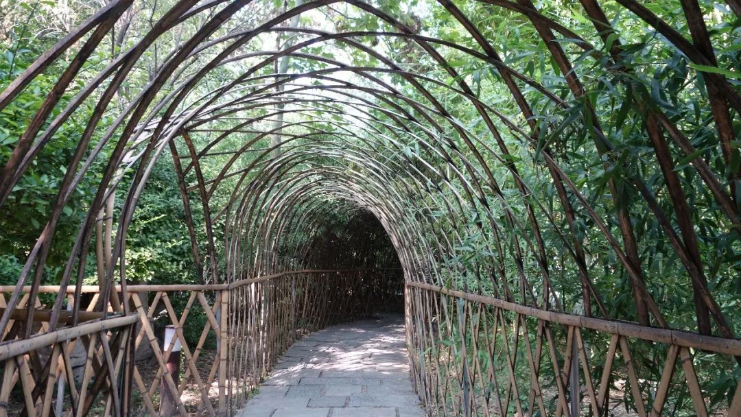 济南方特游玩攻略,去印象济南游玩日记