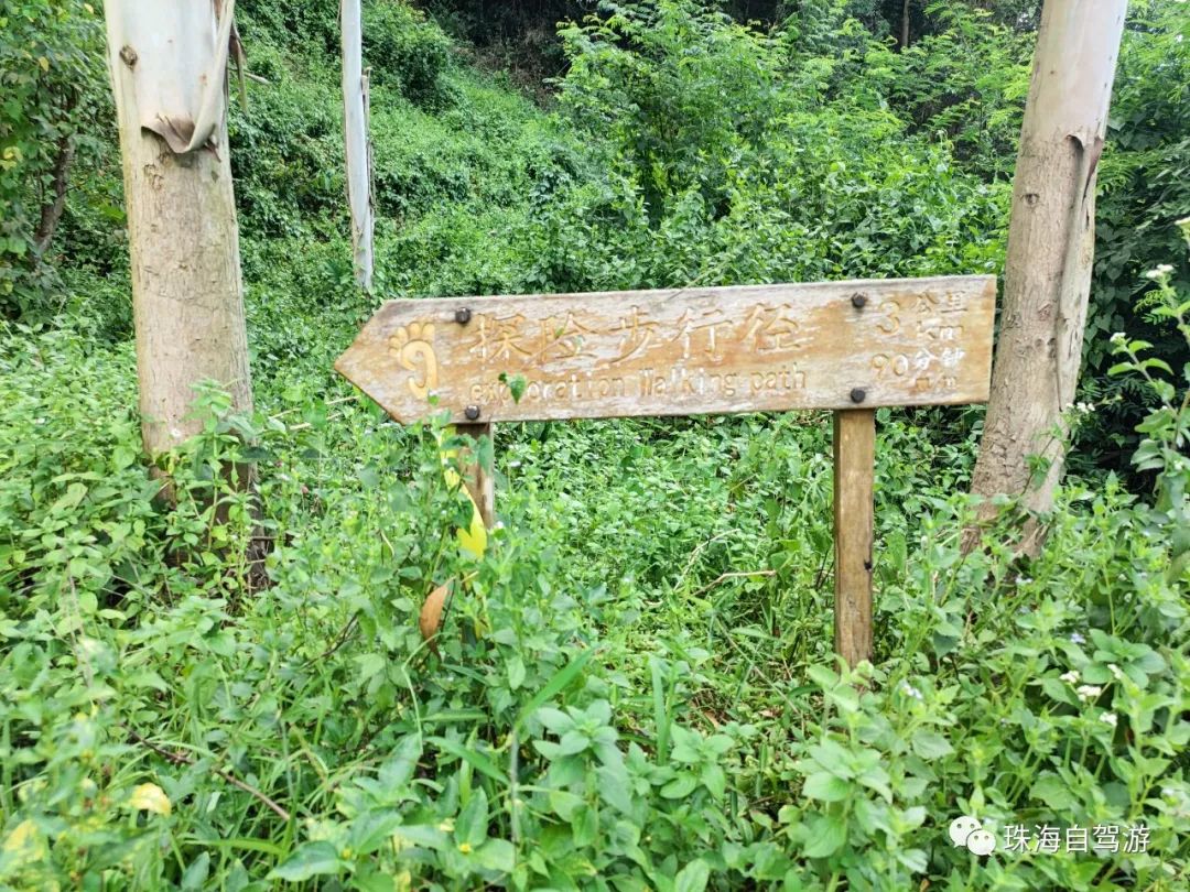 大山峰水牛坪露营记,东岸岭露营徒步