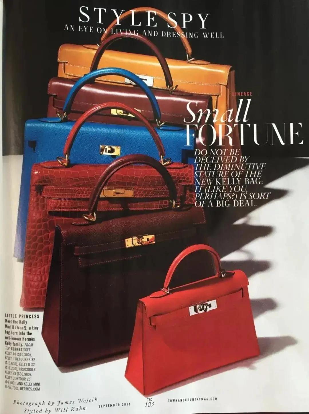 lv最经典的包包,奢侈品包包lv经典款