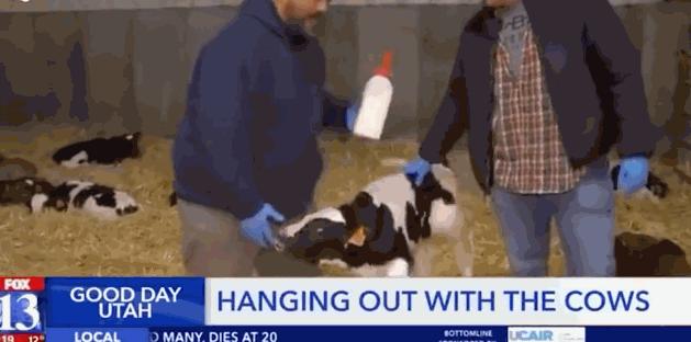 东方台主持人集体翻车现场视频,主持人电视直播新闻翻车名场面