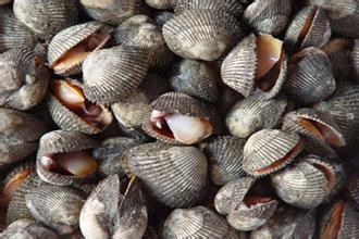 辽宁大连市城市排名,辽宁大连城市