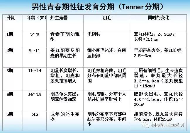 乳房发育早熟症状,乳房发育早熟怎么消下去