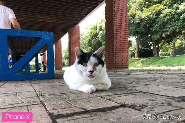 相机跟手机拍出来的照片差的大吗,相机跟手机拍照的差距