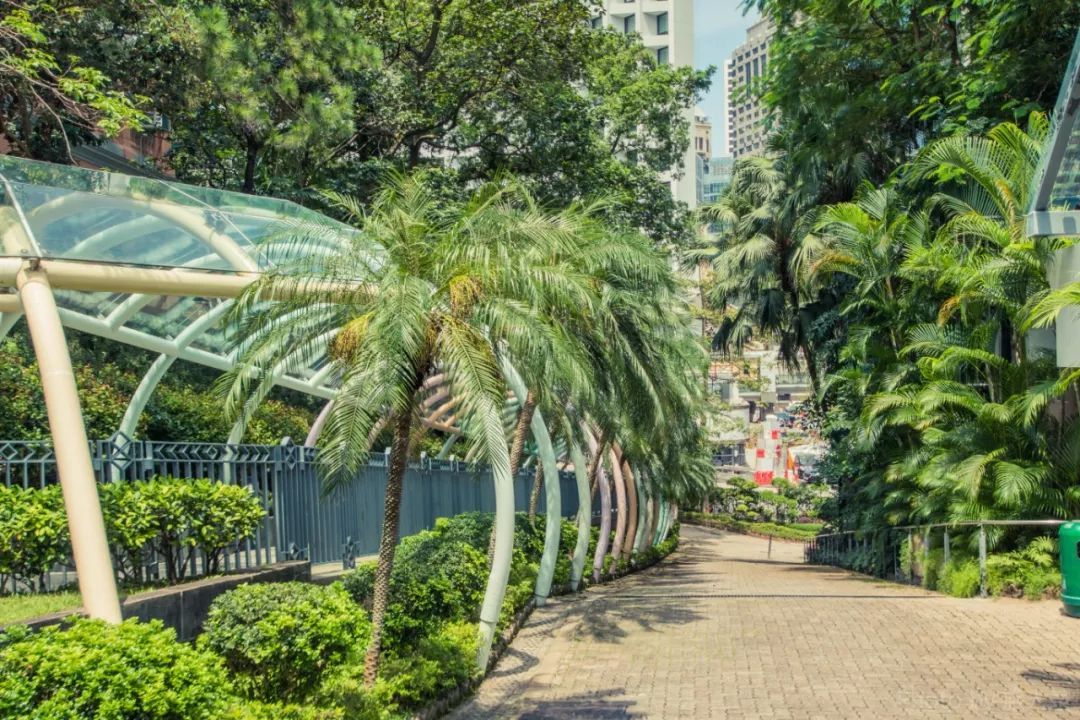 寸土寸金香港,寸土寸金的香港