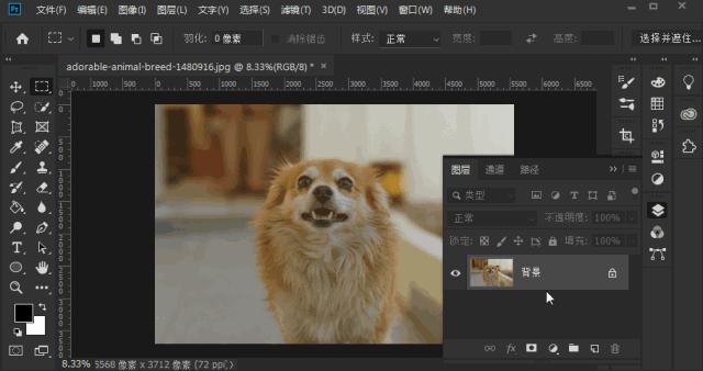 photoshop快捷键大全,photoshop设置快捷键大全