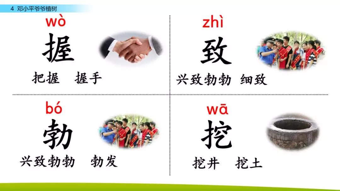 部编版二年级下册语文第4课《*小平邓**爷爷植树》知识点+图文讲解