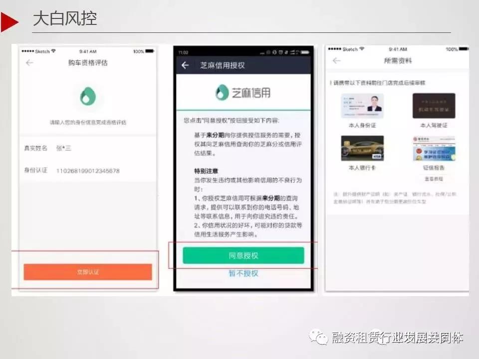 中国汽车融资租赁行业报告2013,中国汽车融资租赁公司