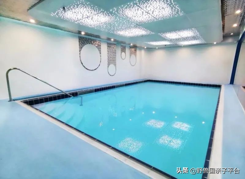 东莞儿童篮球培训机构哪个好,东莞儿童健身球哪家好