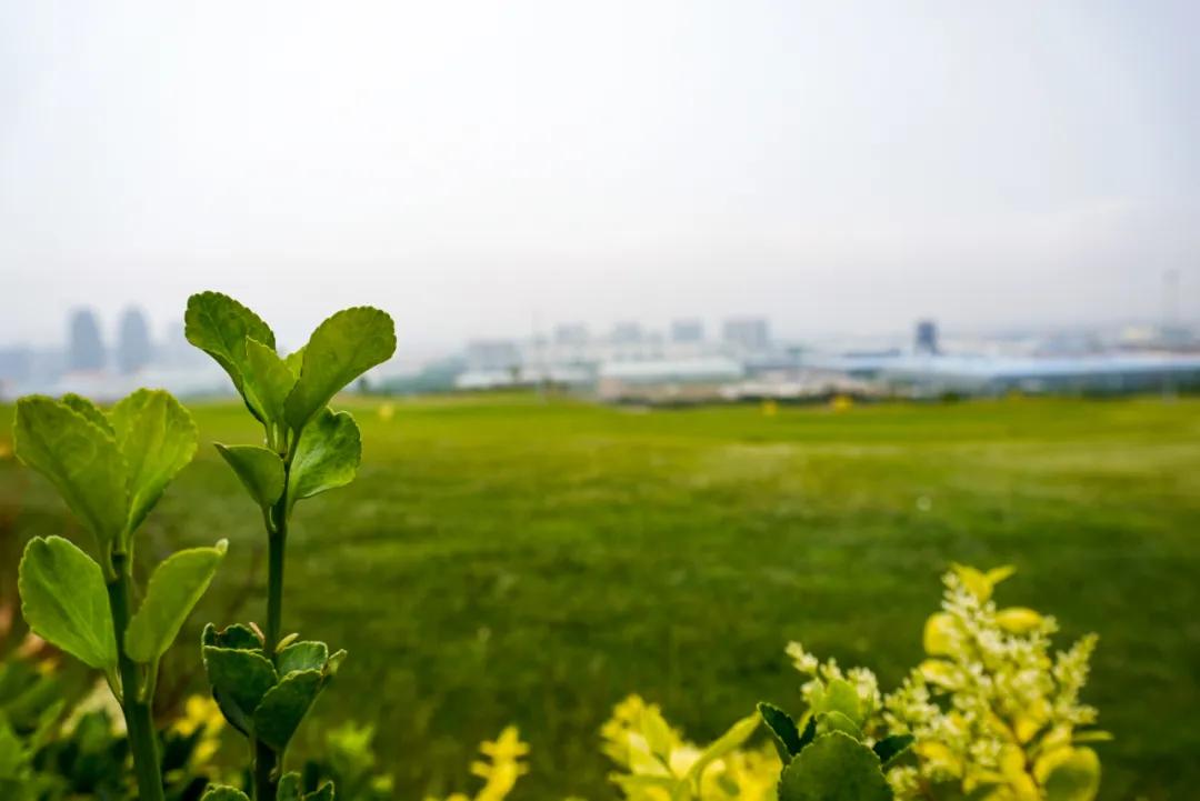 蓬莱自驾游旅游攻略路线推荐,蓬莱自驾游旅游攻略最佳路线