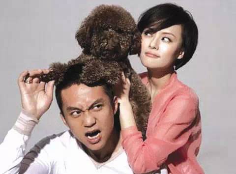 属狗的和什么属相最般配,虎和哪个属相最般配