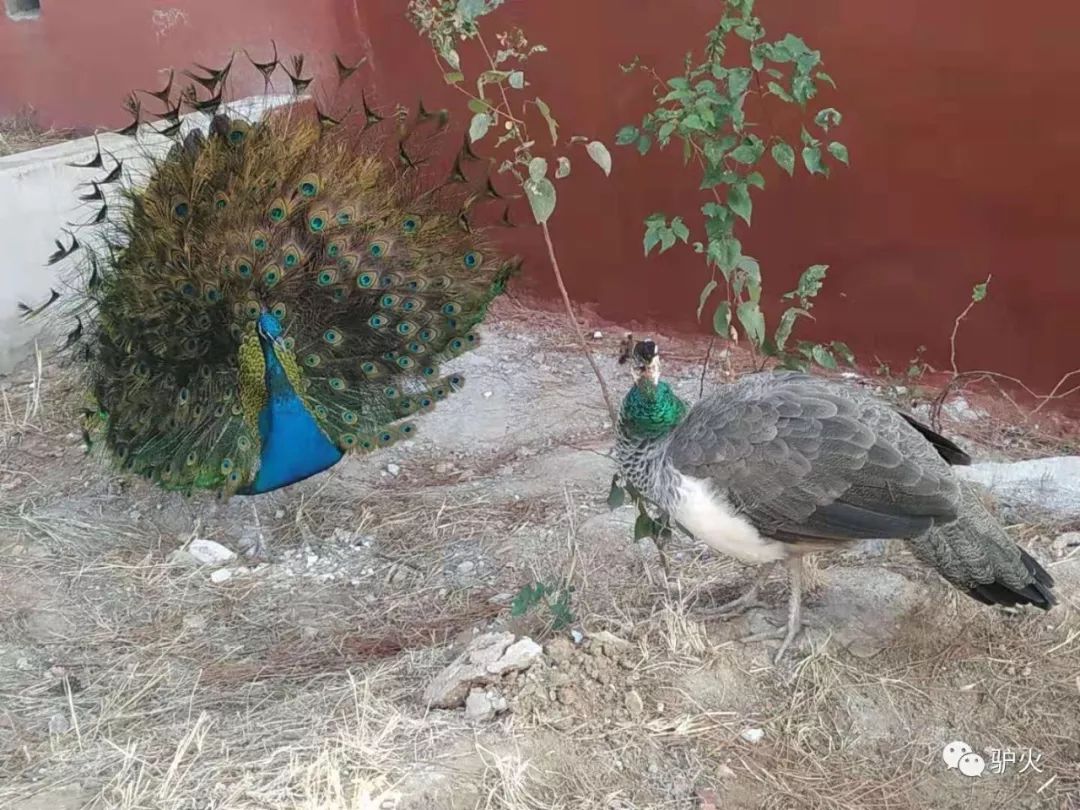 满城月明寺,满城明月寺游玩攻略