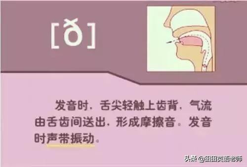 基础英语48个国际音标详解，赶紧来学习！