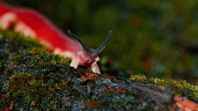 豆瓣9.6！娃刷到停不下来，还能看出人生大道理