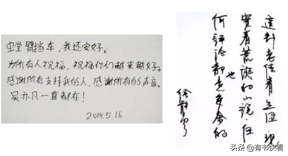 45岁徐静蕾简介,46岁徐静蕾水彩书法