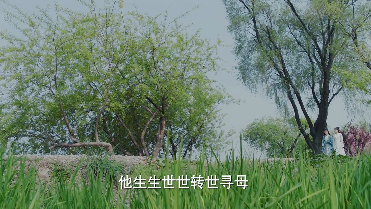 听书新白娘子传奇1-50集,看电影新白娘子传奇完整版