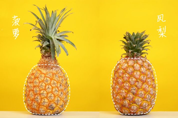 菠萝甜还是凤梨甜,不知道是菠萝还是凤梨