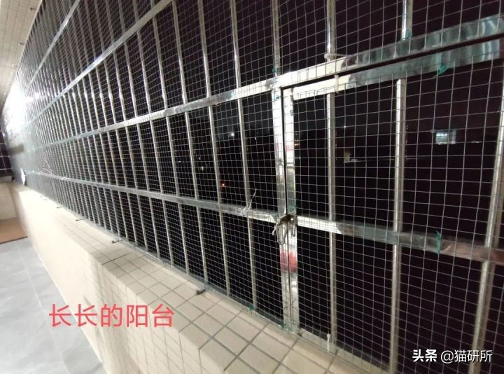 高层养猫到底要不要封窗,封窗养猫