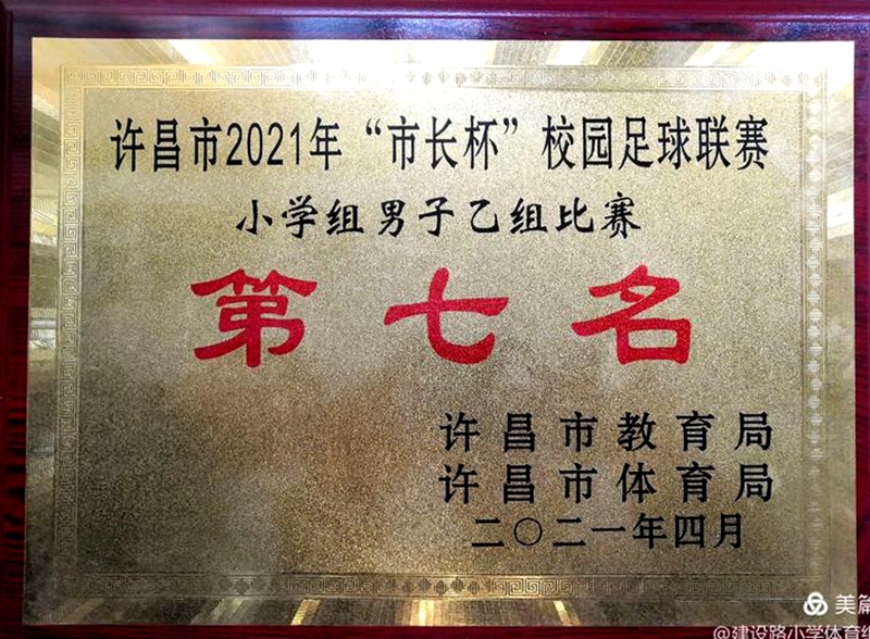 2017第三届市长杯校园足球联赛,2021年郑州市市长杯足球比赛小学