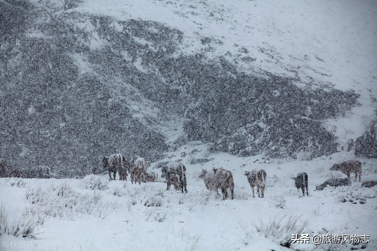 漠河是中国最冷的城市么,中国最冷的城市漠河