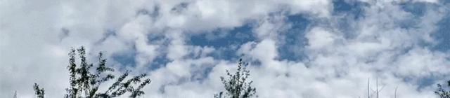 北京人少景美赏秋的公园,北京赏秋中山公园