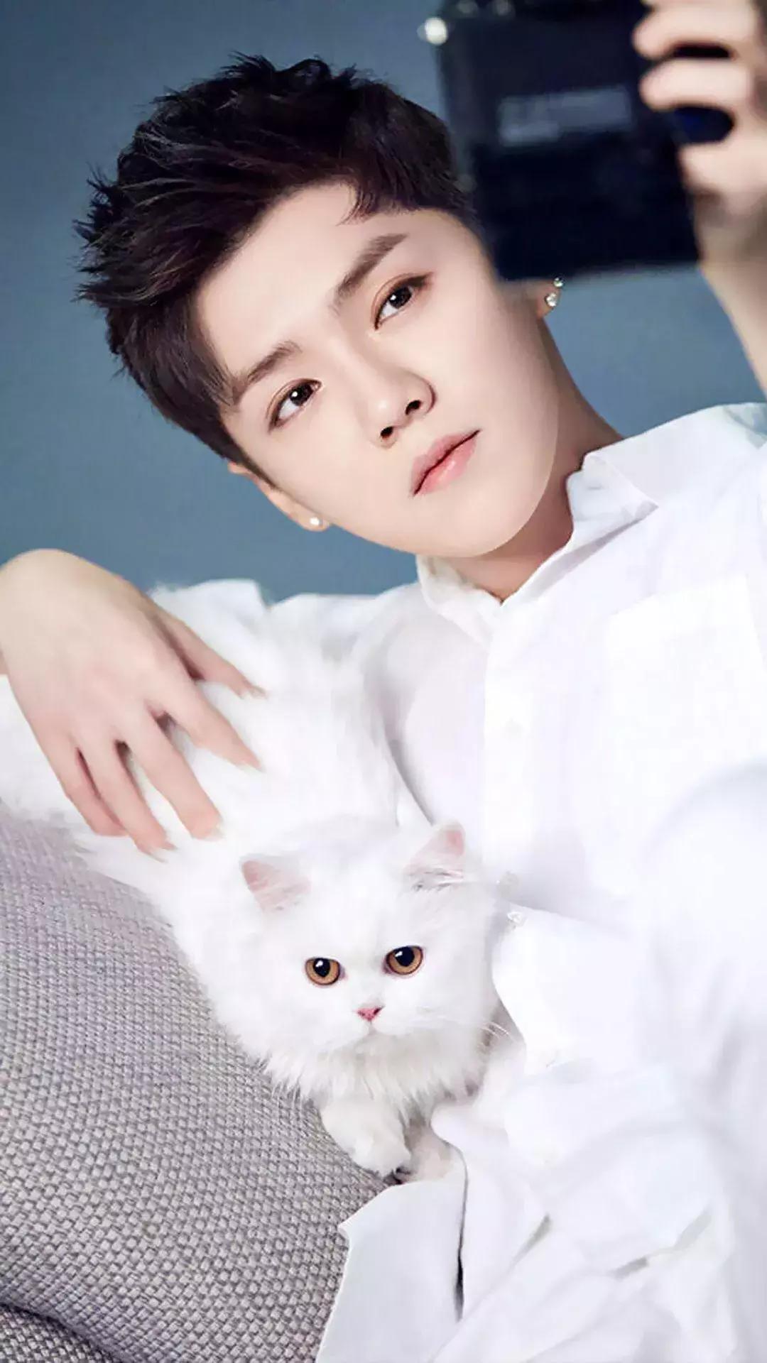 明星小姐姐壁纸iu,鹿晗壁纸手机超清全面屏