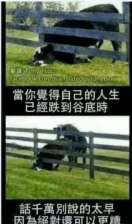 笑话有哪些可以笑破你的肚子,10个让人笑破肚皮的笑话