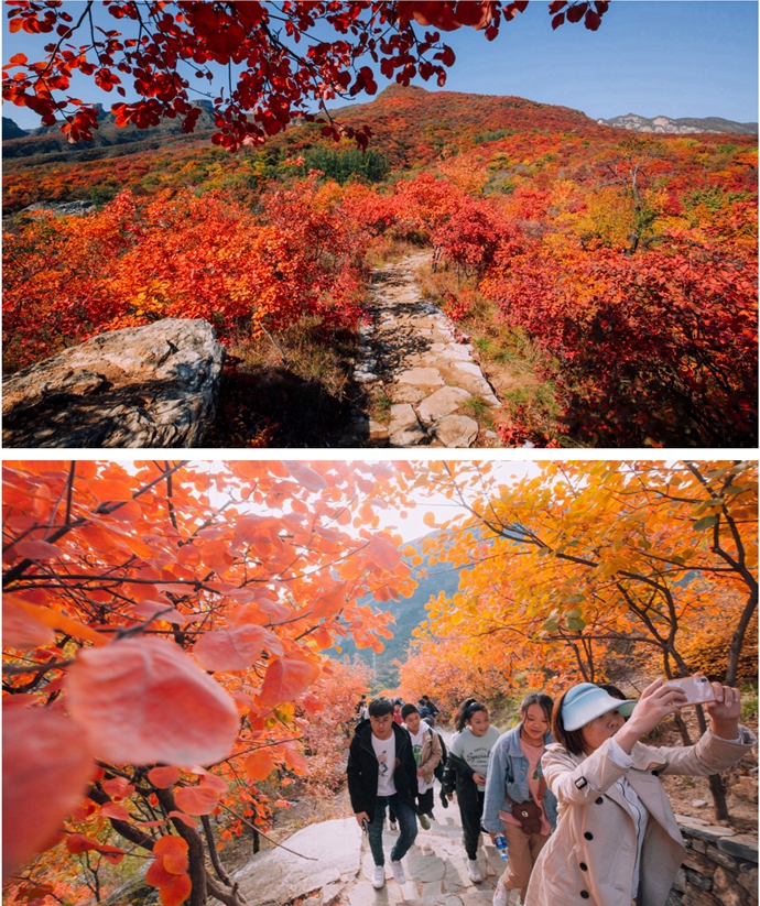 春节京郊民宿大推荐,京郊适合冬天的民宿住宿