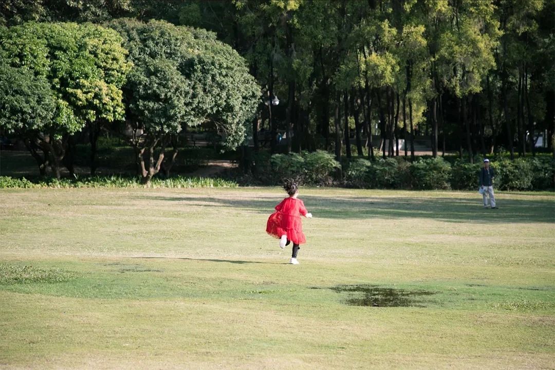 去深圳免费游玩的10个地方,深圳免费游玩景点推荐