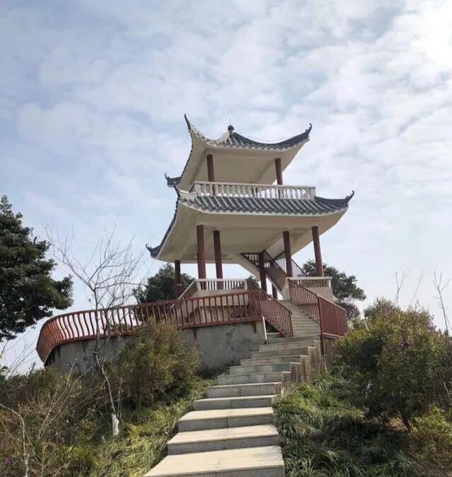 深圳花海公园地址在哪里,深圳中心河公园花海