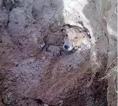 鐢蜂汉鐢ㄦ毚鍔涢┍璧舵祦娴嫍,涓轰粈涔堜繚瀹夎鎶婂悇绉嶆祦娴嫍鎵撴