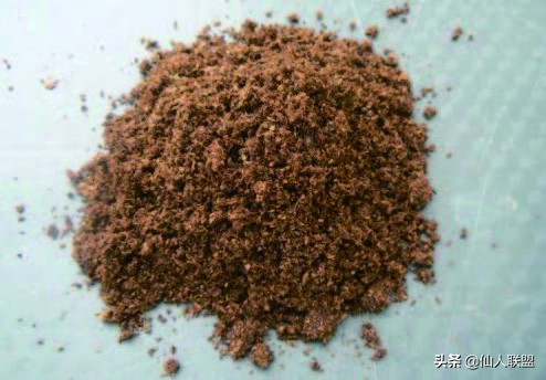 石食者THESTONEEATERS六