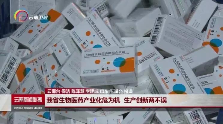 新冠疫苗积极回应国家号召,新冠肺炎疫苗研究取得良好进展