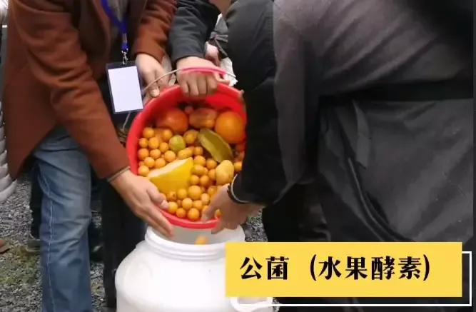 金牌土壤医疗师文龙老师谈“自然农法”，酵素和微生物菌改良土壤
