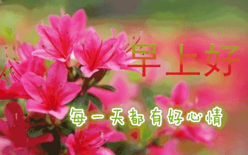 祝愿您新的一天心情愉快,愿清晨的问候带给您愉快的一天